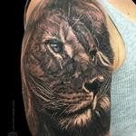 Tattoos - Lion  - 116861