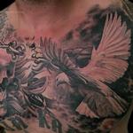 Tattoos - skull, Dove and Olive Branch - 116895