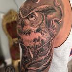 Tattoos - Owl and Branches - 122611