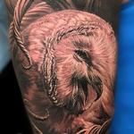 Tattoos - Barn Owl and Branch Texture - 122614