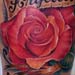 Tattoos - Roses tattoo - 30306