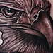 Tattoos - Bald eagle tattoo - 71085