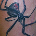 Tattoos - black widow tattoo - 71092