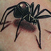 Tattoos - black widow spider tattoo - 71098