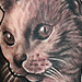 Tattoos - cat tattoo - 71095