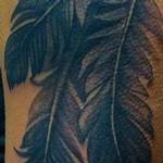 Tattoos - black and grey Feathers - 99630