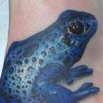 Tattoos - tree frog - 99628