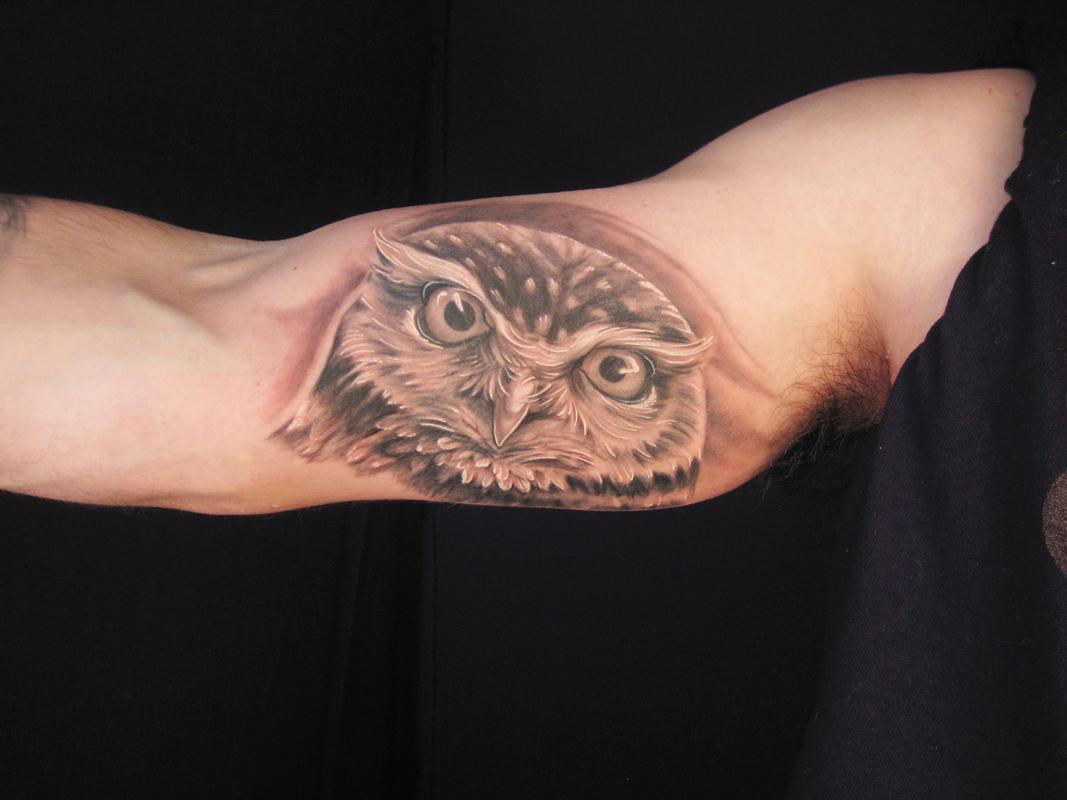 wip skull, owl, rose, bird, tattoo pic 1 by tatu-grim on DeviantArt