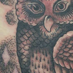 Tattoos - Black and Gray Owl - 117862