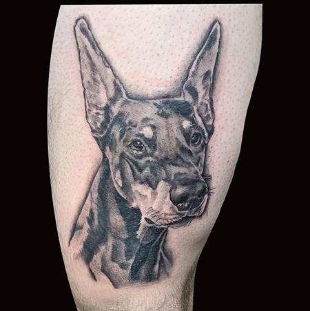 Tattoo tagged with: black and grey, small, dog, animal, tiny, little, inner  forearm, soltattoo, medium size, doberman | inked-app.com