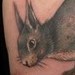 Tattoos - Squirrel Tattoo - 34699