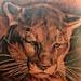 Tattoos - black and grey Mountain lion tattoo done by cesar perez from keene NH. - 78598