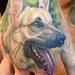 Tattoos - German shepherd dog portrait done by cesar perez from ,Keene,NH  - 78656