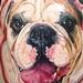 Tattoos - color bulldog portrait - 77316