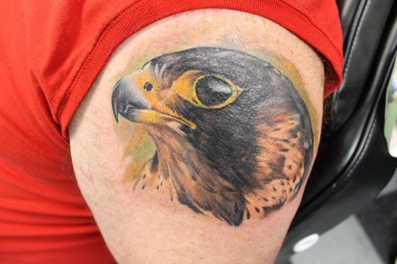 Top 30 Falcon Tattoos For Men  Lazy Penguins