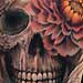 Tattoos - Peony in Skull - 29290