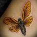 Tattoos - funky bug - 84344