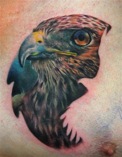 Fine line falcon tattoo located on the forearm