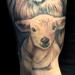 Tattoos - Lion and Lamb - 91324