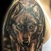 Tattoos - Lone Wolf - 91627