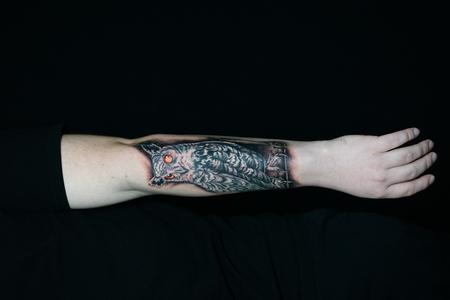 tattoos/ - Sadie Gabriella Owl - 142709