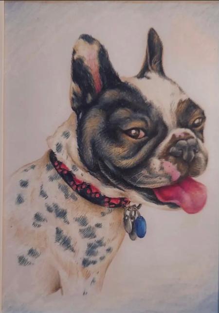 Art Galleries - Dog Portrait - 145325