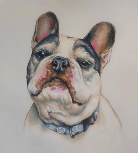 Art Galleries - Dog Portrait - 145326