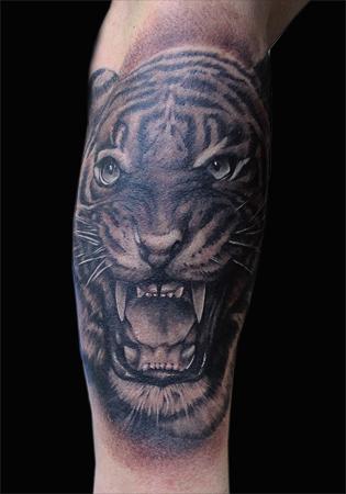 tattoos/ - Tiger - 86047