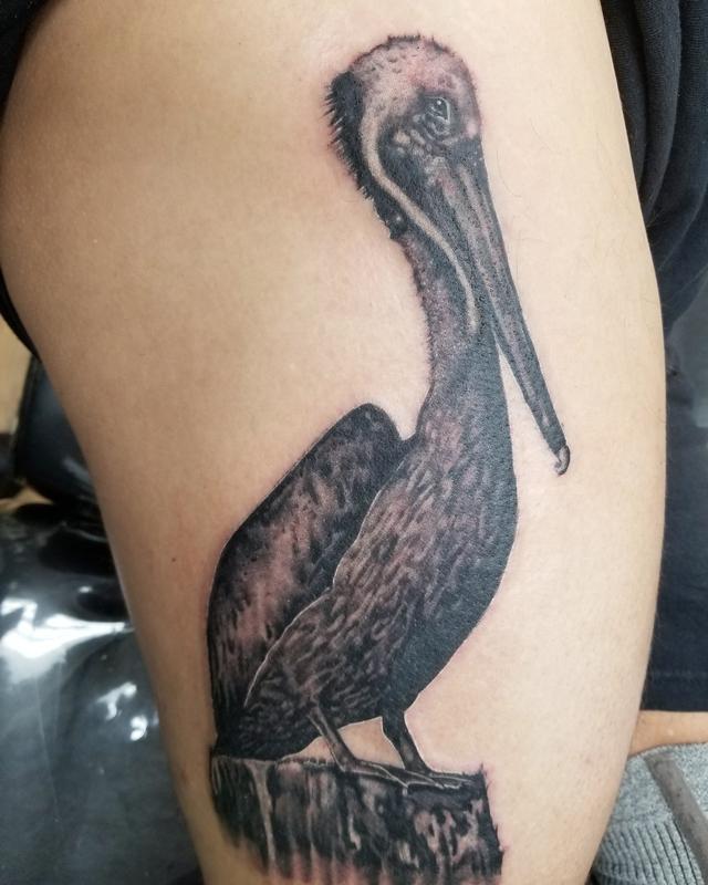 Brown Pelican Tattoo Design  LuckyFish Art