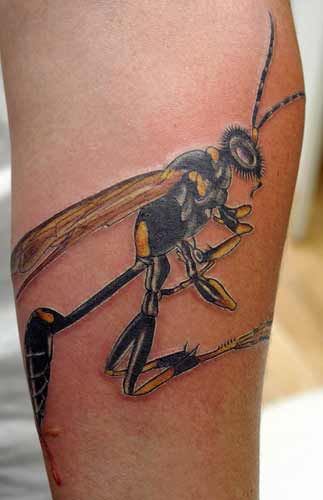Rouillet Tattoo - Tiny little wasp for @trotter4208! • • • • • #tattoo # tattoos #tattooing #tattooartist #ladytattooers #lethbridge  #lethbridgetattoo #canada #neotrad #neotradtattoo #neotraditional  #neotraditionaltattoo #wasp #wasptattoo | Facebook