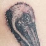 Tattoos - Pelican  - 140429