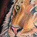 Tattoos - Tiger - 47679