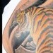 Tattoos - Tiger - 47536