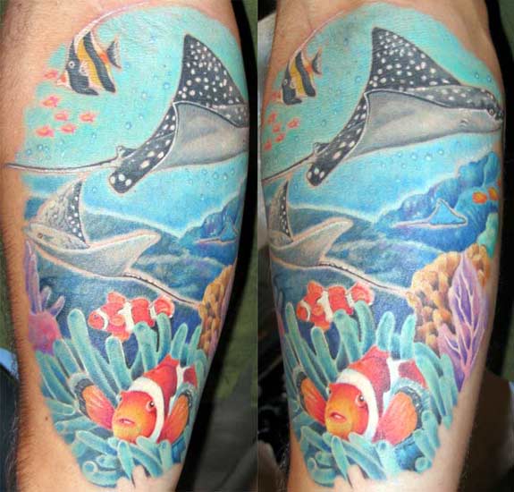 204 Saltwater Fish Tattoos Photos and Premium High Res Pictures  Getty  Images