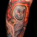 Tattoos - Barn Owl - 70064