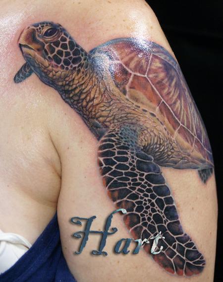Realistic Turtle tattoo with the Hawaiian islands I got in Ontario Canada :  r/tattoos