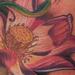 Tattoos - lotus flower - 76019