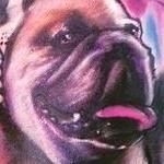 Tattoos - Graphic Bulldog Colour Tattoo - 108925