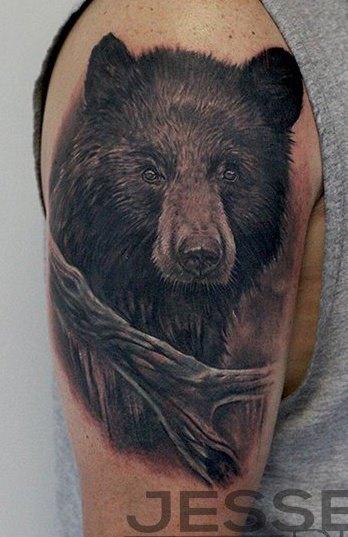 Tatoo Bear on the chest: Photos of tattoos of the best tattoo artists