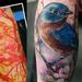 Tattoos - Bluebird and apple blossoms.  - 64716