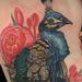 Tattoos - Peacock Tattoo - 56677