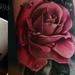 Tattoos - Pink Rose Tattoo - 62747