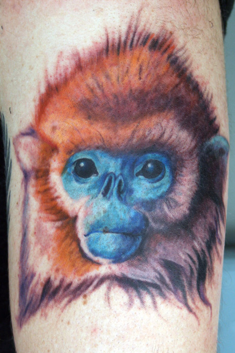 Golden Monkey Tattoo goldenmonkeytattoo  Instagram photos and videos