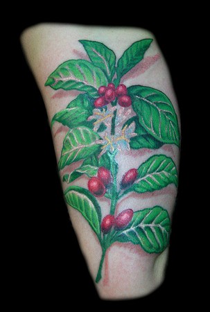 Holly Berries as a nice gap filler for this lower arm space! • • •  #hollyberry #holly #plantlover #nature #colortattoo #planttatto... |  Instagram