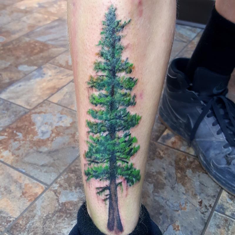 Realistic Tree Tattoo by Francisco Sanchez  Tattoos