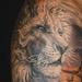 Tattoos - animal lion and aries  - 73505