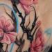 Tattoos - cherry blossom, custom leg in progress  - 89790