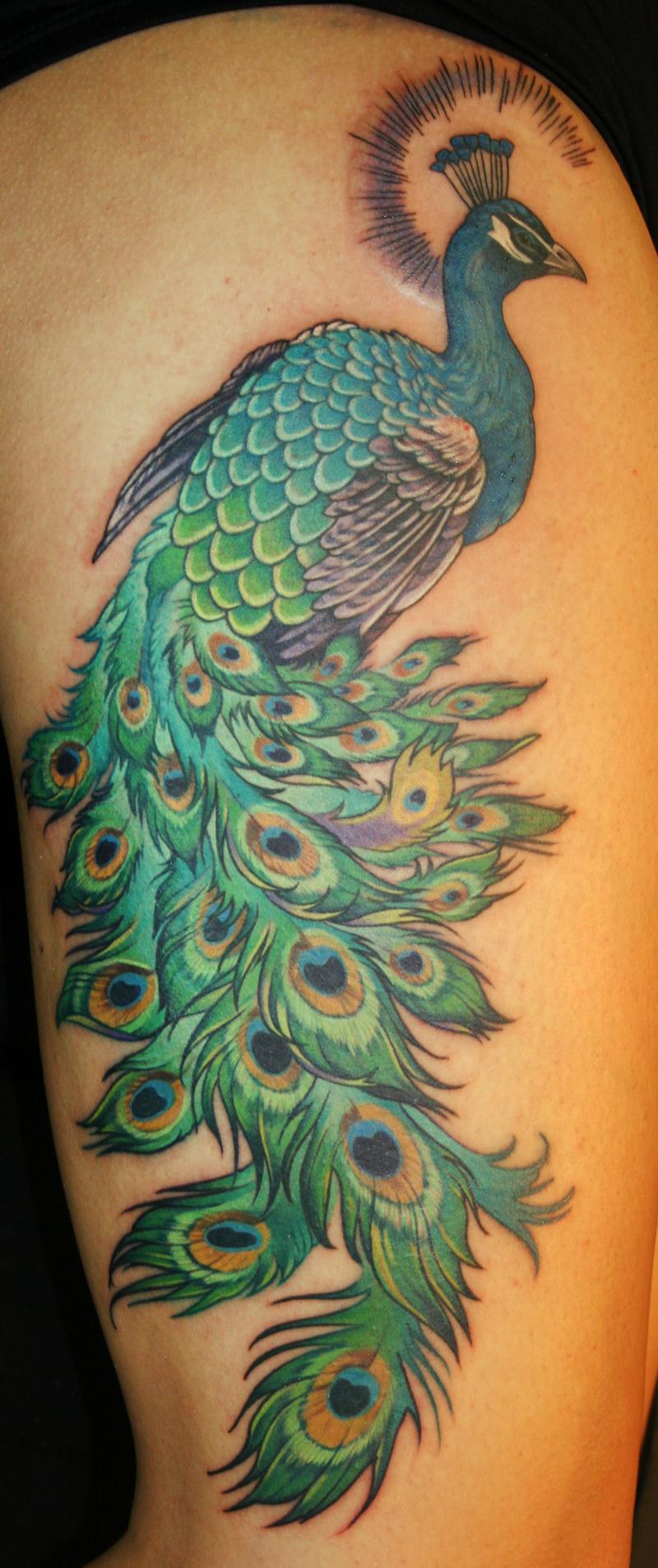 peacock tail tattoo