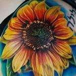 Tattoos - sunflower  - 115499