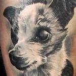 Tattoos - Killer the chihuahua - 115495